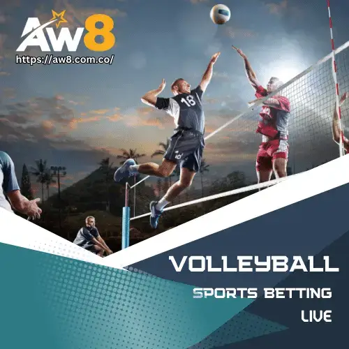 aw8 volleyball sports betting
