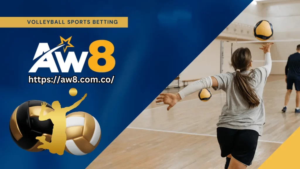 volleyball sports betting